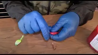 How to rig Coon Shrimp for Springers with Landon From Washington Coon Shrimp.