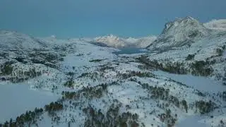 Langnesbu