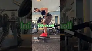 Remada cavalinho para iniciar o ano .