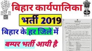 bihar executive assistant vacancy 2019,||bihar karyapalak sahayak vacancy 2019||बिहार कार्यपालिका ||