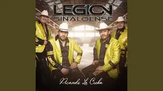 El maiz sepico en gorgojo