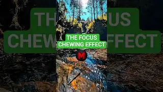 THE FOCUS CHEWING EFFECT #shorts #facts #factshorts