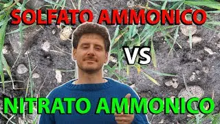 SOLFATO AMMONICO VS NITRATO AMMONICO: qual è il migliore?