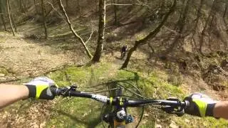 Forest Of Dean Hidden Trail Guided Ride