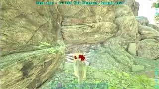 Ark Aura PvP