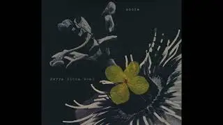 Enofa - Nerra Ninna Noak (2020)