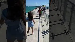 Vamanos