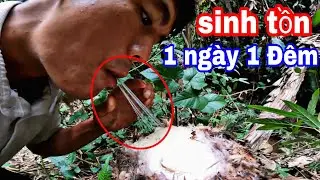 Thử Thách 1 Ngày 1 Đêm Sinh Tồn Trong Rừng Chỉ Được Ăn Thực Vật Sang Vlog