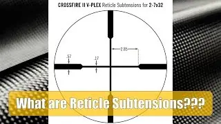 What are Reticle Subtensions?