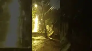 BR-282 bloqueada ap&oacute;s queda de &aacute;rvore