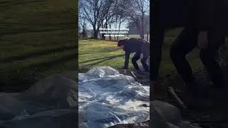 Plant Garlic in the Winter! 🥶 Greenhouse Effect with Recycled Plastic