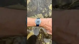 Omega Seamaster Diver 300M mid size 2551.80 36mm | 16.5cm wrist | 6.5&rdquo; wrist