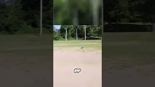 RC Car Bashing #RC #RCBashing