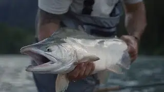 Fishing BC Presents: Swinging Flies for Salmon in Squamish with Chromer Sport Fishing