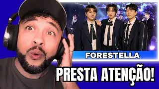 Essas vozes fazem o Natal soar diferente… FORESTELLA
