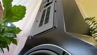 Resigned Musmys on Accuphase A45-1