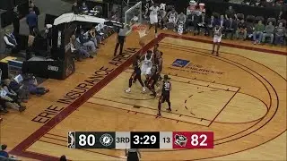 DeJuan Blair with 21 Points vs. Erie BayHawks