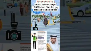Dubai police fine for read signal 🚦 crossing 🚸 #dubaicourts #dubaigovernment #uaepassport