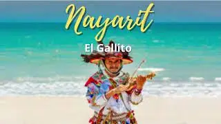 Nayarit - El Gallito