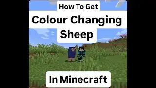 How To Get A Colour Changing Sheep In Minecraft