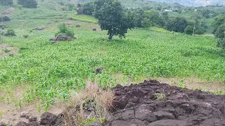 @KENINDAHAN ALAM DI GUNUNG SELAWISI SELATAN BEGITU MENARIK DI LIHAT