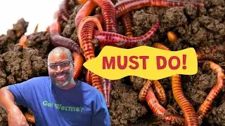 How To Keep YOUR Worm Bin WARM In Winter