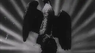 Elitism - Triumph Of The WiII