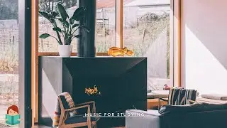 「無廣告版」淡淡音樂流淌在書房 ~ BEAUTIFUL PIANO READING STUDYING MUSIC