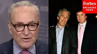 Reporter Asks Chuck Schumer: If Epstein Files Are Released Heavily Redacted, What Will Congress Do?