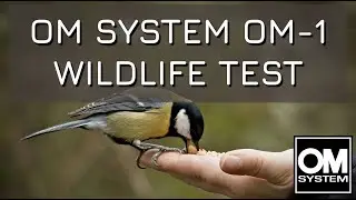 The OM System OM-1 at Attenborough Nature Reserve
