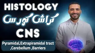 pyramidal , extrapyramidal tract , cerebellum,barriers | histo | Dr kandeel 2025
