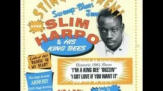 Slim Harpo -  Got Love If You Want It