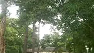 Homes for Sale - 135 Sellers Rd Duson LA 70529 - Bridgit Plumbar-Chaisson