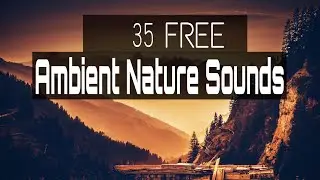 35 Free AMBIENT NATURE Sound Effects | Cinematic Sounds Effects | SFX | Sounds Effects For Film