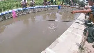 Lomba mancing ikan lele di sungai Mbaran... Mancing rame2 seru... Mancing mania MANTAAABBB...