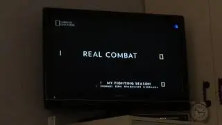 My fighting season