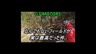 美濃加茂市林道　なんでもない林道が徐々に最高だった件