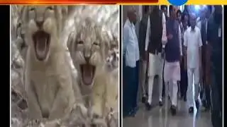 When to Project Lion? government is spending Millions of rupees behind project | Zee24Kalak