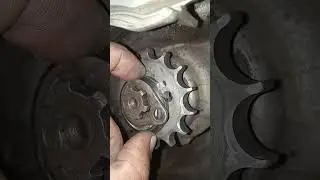 V1 89