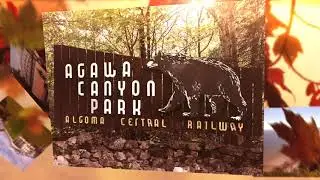 Agawa Canyon Train Excursion 2017