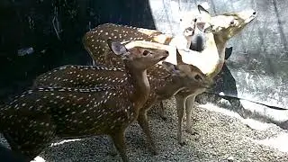 DSCF0224