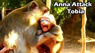 Evil Mum ANNa Never Enough Fight Even Hit Alba All Day |Young Mum Anna Attack Tobia So Bad Situation