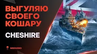 БОЕВОЙ КОТ ● CHESHIRE