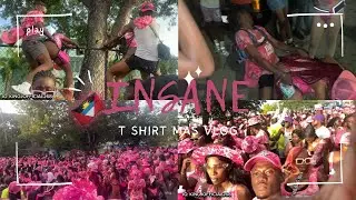 PON DI FENCE! INSANE T SHIRT MAS 2024 | Antigua Carnival