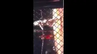 BTV Boxing amazing fighting