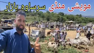 Sarsaw Mandi 2024 Kotli Azad Kashmir | Situation Of Sehnsa Bazaar | Dadyal Azad Kashmir