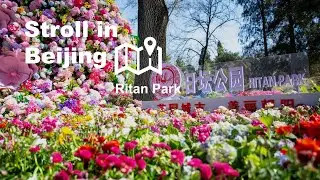 Stroll in Beijing&mdash;Ritan Park