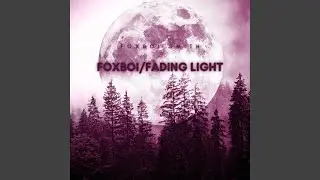 Foxboi