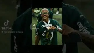 Danilo - Palmeiras 🔥💚🐷🇧🇷