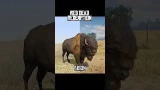 RDR1 VS RDR2 Animal Comparison Part 1